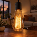 Ampoule Edison E27 Filament Cage à Écureuil, Incandescente 25W 2200K Blanc Très Chaud, Verre Clair ST64, Dimmable, Ambiance Salon et Café
